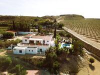 VIP8160: Villa for Sale in Antas, Almería